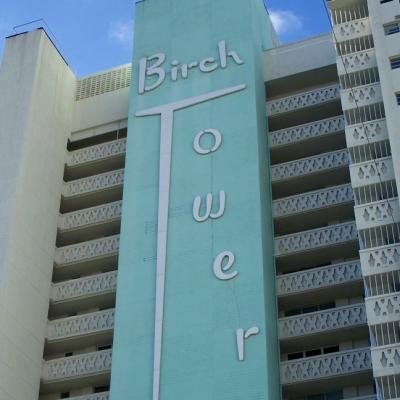 Birch Tower
