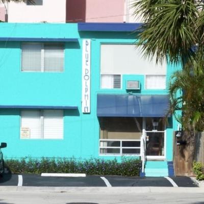 Blue Dolphin